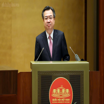 Ảnh đại diện